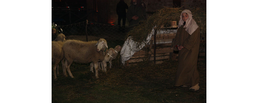 Presepe-vivente-2009-172