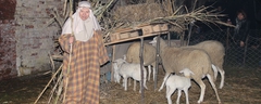 Presepe-vivente-2010-091
