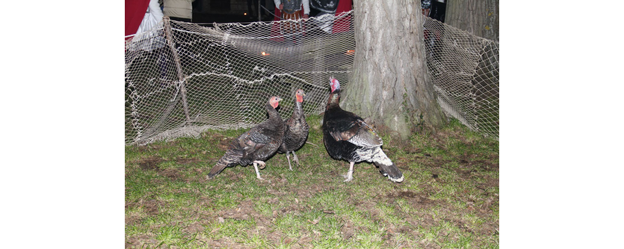 Presepe-vivente-2010-106