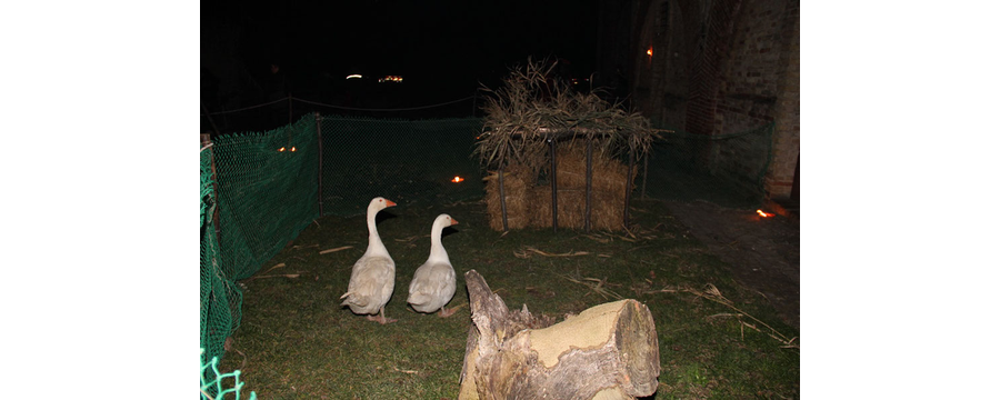 Presepe-vivente-2010-112