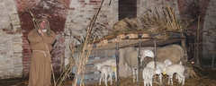 Presepe-vivente-2010-189