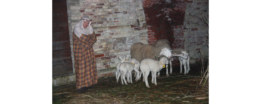 Presepe-vivente-2010-333