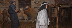 Presepe-vivente-2011-221