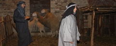 Presepe-vivente-2012-033