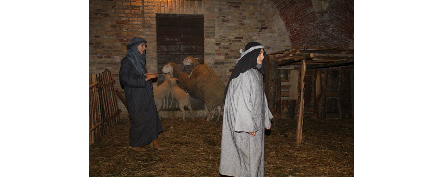 Presepe-vivente-2012-033