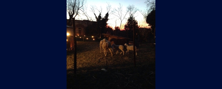 Presepe-vivente-2014-003